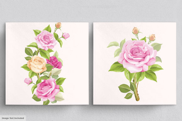 Download Beautiful Roses Hand Drawn Illustrations - Illustrations Collection