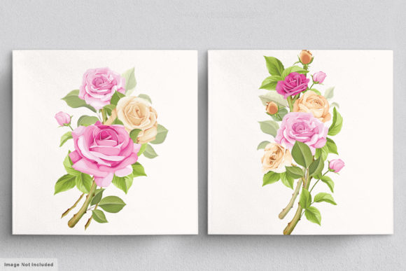 Download Beautiful Roses Hand Drawn Illustrations - Illustrations Collection